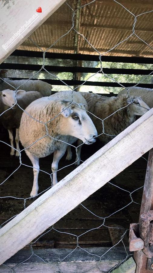Pousada Pedra Da Mata Chales Na Montanha Munhoz Ngoại thất bức ảnh