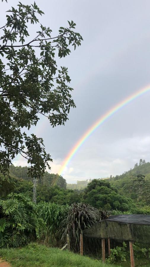Pousada Pedra Da Mata Chales Na Montanha Munhoz Ngoại thất bức ảnh