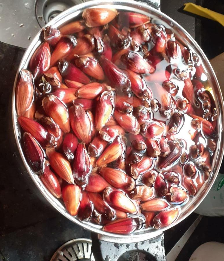 Pousada Pedra Da Mata Chales Na Montanha Munhoz Ngoại thất bức ảnh